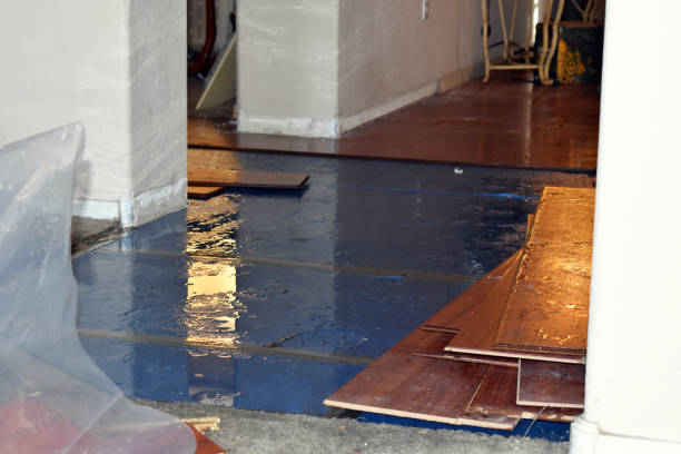 Professional Basement Flood Cleanup technician working in Richland, WA